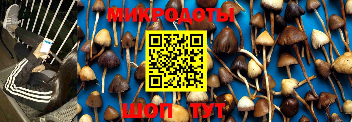 Кудрово  Псилоцибиновые грибы GOLDEN TEACHER  Вход с VPN 