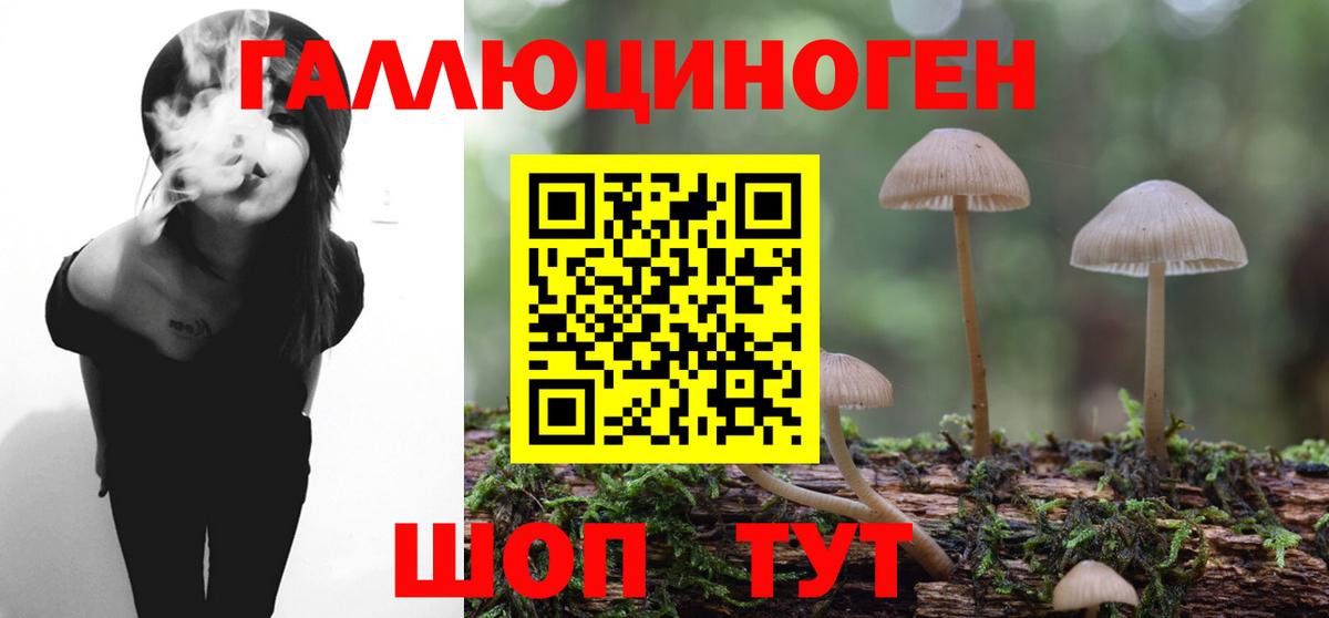 Галлюциногенные грибы GOLDEN TEACHER Кудрово